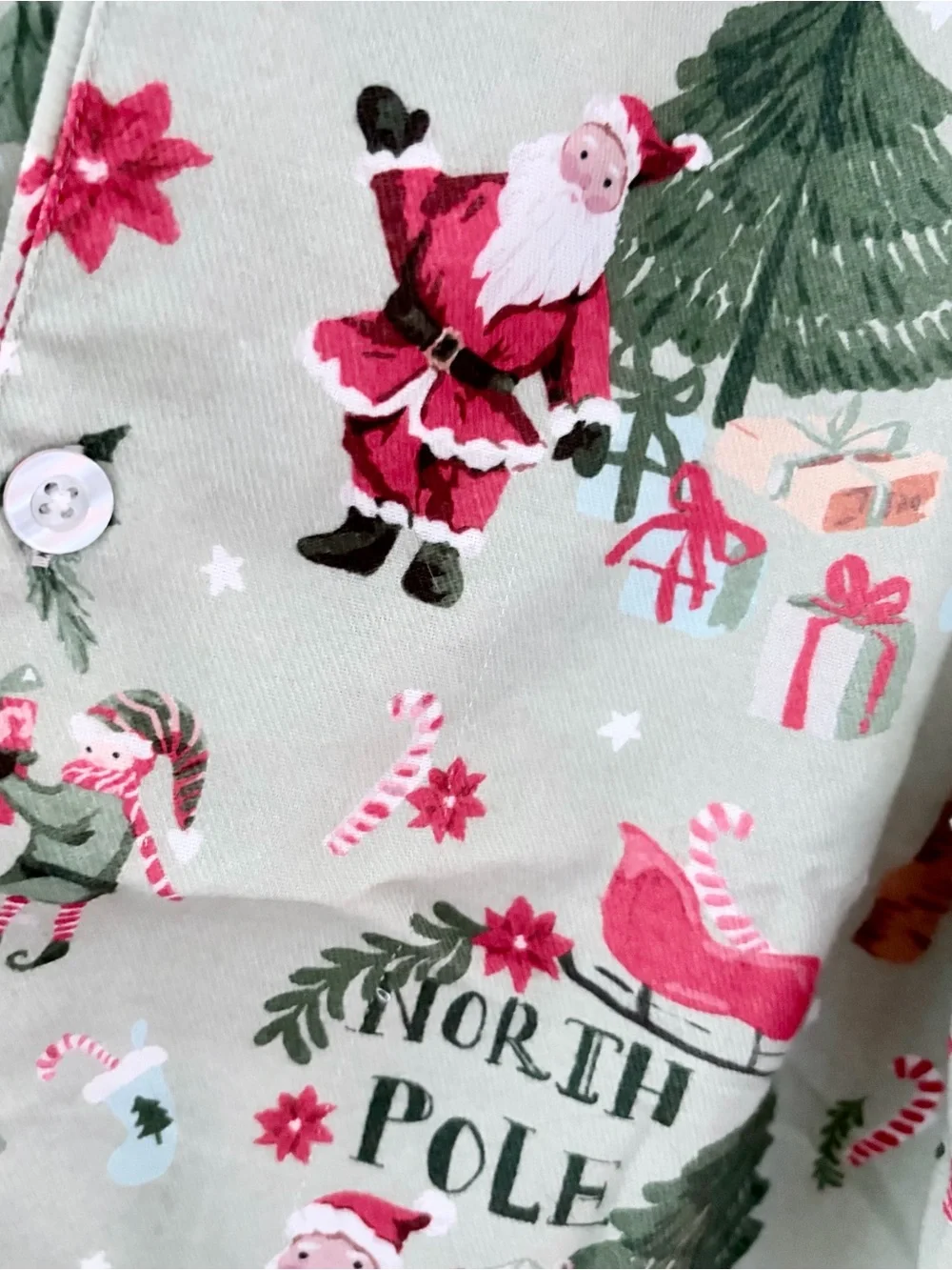 Pottery Barn Christmas Pajama Set Size L Adult North Pole Santa Flannel PJ
